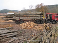 LKW-Ladung mit 30 Tonnen Holz