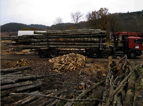 LKW-Ladung mit 30 Tonnen Holz