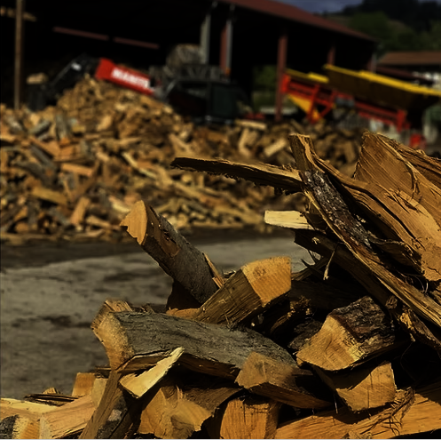 3 Kubikmeter Brennholz – 30 cm – lose (1,98 m³) – Eiche/Buche/Hainbuche